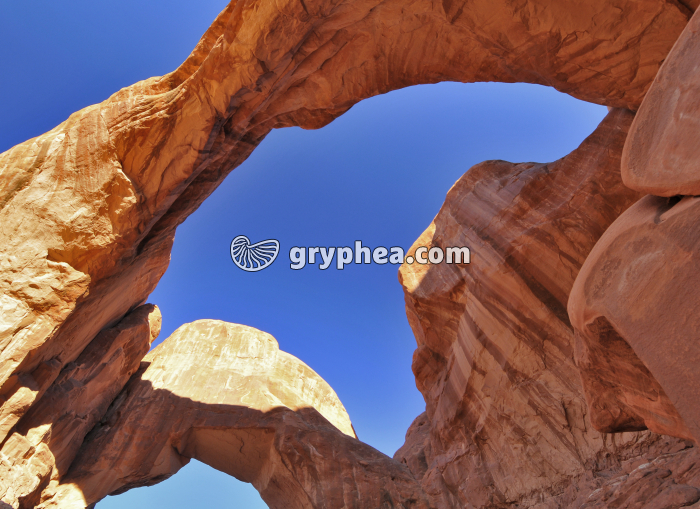 Double Arch - gryphea.org